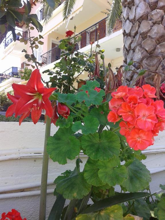 Aggeliki Apartment *